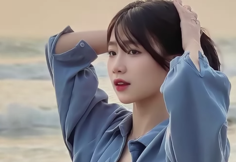 lĩnh vực hoạt động